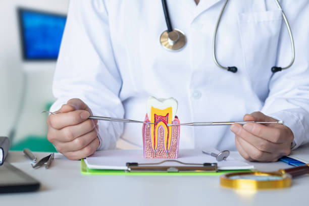 Best Emergency Tooth Extraction  in Sycamore, IL